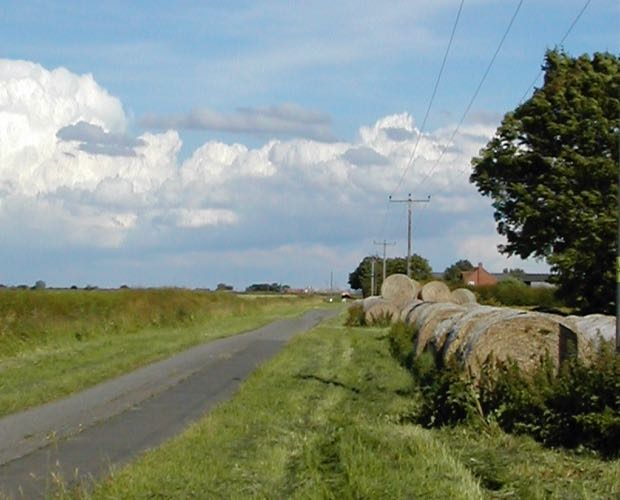 Post-Brexit farming